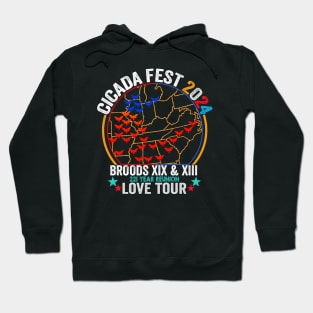 Vintage Cicada Fest Brood 2024 Tsunami Phenomenon Brood XIX Brood XIII Year Of The Cicada 2024 ussa flag Hoodie